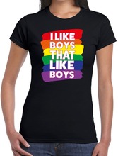 Gay pride I like boys that like boys t-shirt zwart voor dames