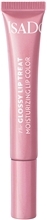 IsaDora Glossy Lip Treat 13 ml No. 058