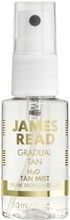 James Read H2O Tan Mist Face 30 ml