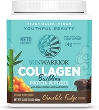 Collagen Building Protein peptides 500 gram Choklad