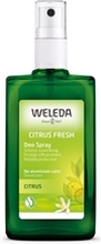 Citrus Fresh Deo Spray 100 ml