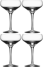 More Champagne Coupe 4-pack 4 st/paket