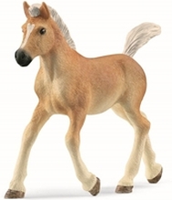 Schleich 13951 Haflinger foal