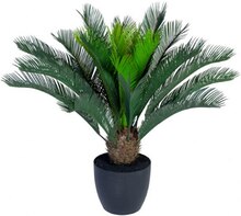 Konstväxt Cycas Palm Small inkl. kruka
