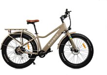 RAWBIKE Urban Sand Beige