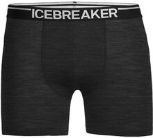 Icebreaker Anatomica Boxers Mens Jet Hthr