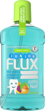 Flux Junior Fruit mint 500 ml