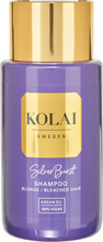 Kolai Silver Burst Shampoo 250 ml