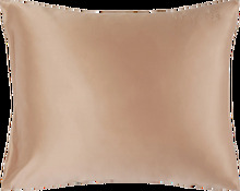 Lenoites Mulberry Silk Pillowcase 50x60 cm Rose Gold