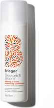 Briogeo Blossom & Bloom Ginseng+Biotin Volumizing Conditioner 237 ml