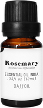 Daffoil Rosemary India Eterisk olja