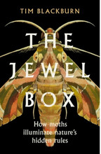 The Jewel Box (häftad, eng)