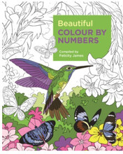 Beautiful Colour by Numbers (häftad, eng)