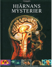 Hjärnans mysterier (inbunden)