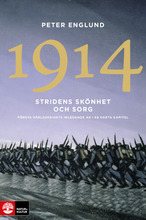 Stridens skönhet och sorg 1914 : första världskrigets inledande år i 68 korta kapitel (pocket)