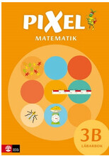 Pixel 3B Lärarbok, andra upplagan (bok, spiral)