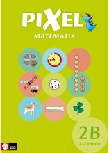 Pixel 2B Extrabok, andra upplagan (häftad)