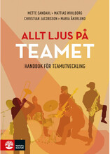 Allt ljus på teamet : en handbok för teamutveckling (bok, flexband)