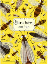 Stora boken om bin (inbunden)