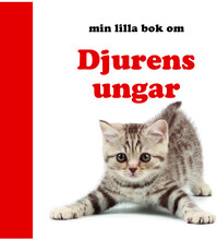 Min lilla bok om Djurens ungar (bok, board book)