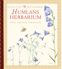 Humlans herbarium : flora, växtpress och herbarium (bok, spiral)