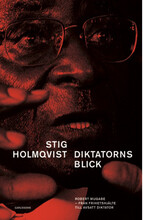 Diktatorns blick : Robert Mugabe -från frihetshjälte till avsatt diktator (inbunden)