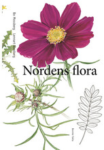 Nordens flora (inbunden)