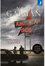 American Gods (svensk utgåva) (pocket)