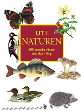 Ut i naturen : 600 svenska växter och djur i färg (häftad)