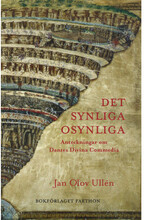 Det synliga osynliga : anteckningar om Dantes Divina Commedia (bok, danskt band)