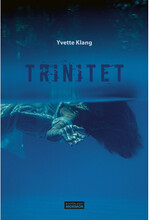 Trinitet (bok, danskt band)