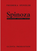 Spinoza : multitud, affekt, kraft (häftad)