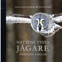 Nattens tysta jägare : nordiska ugglor (bok, halvklotband)