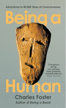 Being a Human - Adventures in 40,000 Years of Consciousness (pocket, eng)
