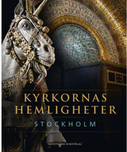 Kyrkornas hemligheter : Stockholm (inbunden)