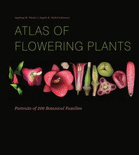 Atlas Of Flowering Plants (inbunden, eng)