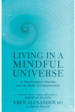 Living in a mindful universe (häftad, eng)