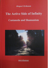 The active side of infinity : Castaneda and shamanism (häftad, eng)