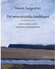 Det monoteistiska landskapet : Ivan Aguéli och Emanuel Swedenborg (bok, danskt band)