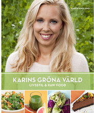 Karins Gröna Värld : Livsstil & Raw Food (inbunden)