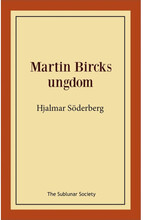 Martin Bircks ungdom (häftad)