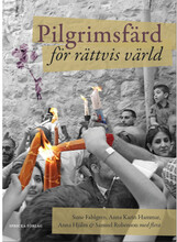 Pilgrimsfärd för rättvis värld : möten med kyrkorna i Israel och Palestina (häftad)