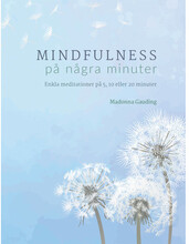 Mindfulness på några minuter (inbunden)