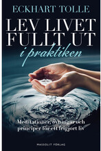 Lev livet fullt ut i praktiken : meditationer, övningar och principer för ett frigjort liv (bok, danskt band)