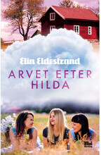 Arvet efter Hilda (bok, danskt band)