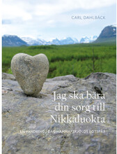 Jag ska bära din sorg till Nikkaluokta : en vandring i Dag Hammarskjölds fotspår (inbunden)