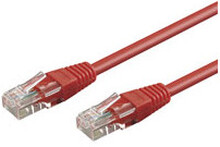 Goobay CAT 6-100 UTP Red 1m nätverkskablar Röd