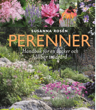Perenner : handbok för en vacker och hållbar trädgård (inbunden)