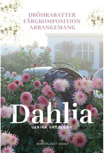 Dahlia : drömrabatter, färgkomposition och arrangemang (inbunden)