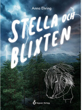 Stella och blixten (bok, kartonnage)